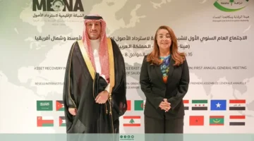 نزاهة تبحث مع مكتب الأمم المتحدة تعزيز الشراكة الدولية لمكافحة الفساد